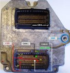 MS71-6.jpg