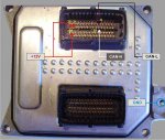 MS75.jpg